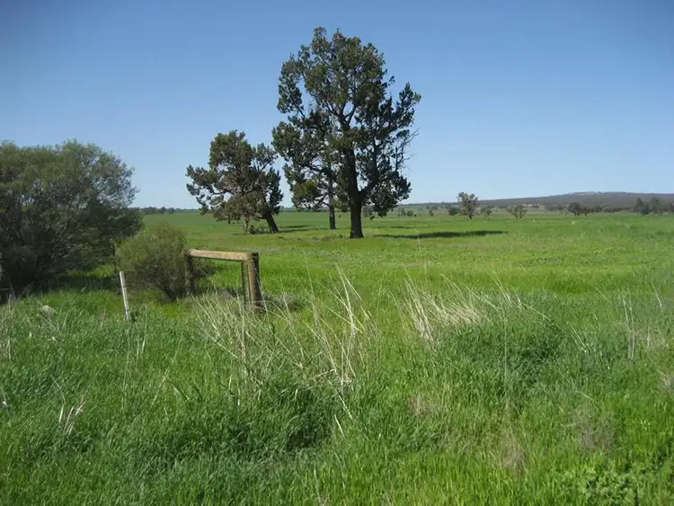 Main view of Homely rural property listing, 00 Sylvaterre Road, Pyramid Hill VIC 3575