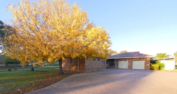 Main view of Homely house listing, 53 Jukes Lane, Cowra NSW 2794