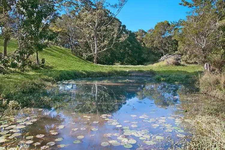 Third view of Homely rural property listing, 181 - 191 Upper Duroby Creek Road, Upper Duroby NSW 2486