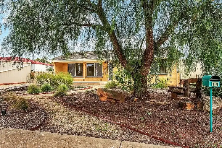 Main view of Homely house listing, 14 Walditch Street, Elizabeth Downs SA 5113