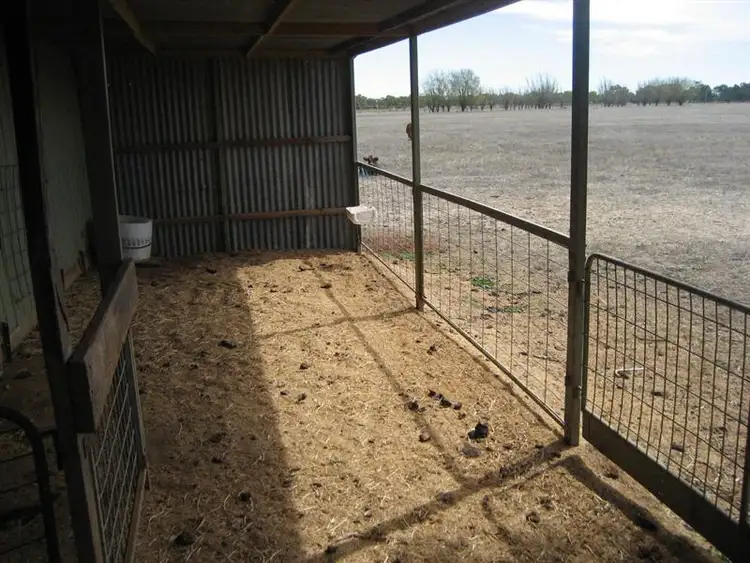 Fourth view of Homely rural property listing, 359 Restdown Road, Rochester VIC 3561