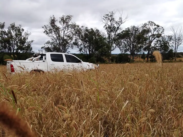 Main view of Homely rural property listing, " Peraroo ", Peranga QLD 4352