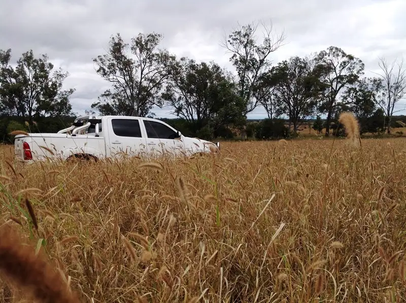 Main view of Homely rural property listing, " Peraroo ", Peranga QLD 4352