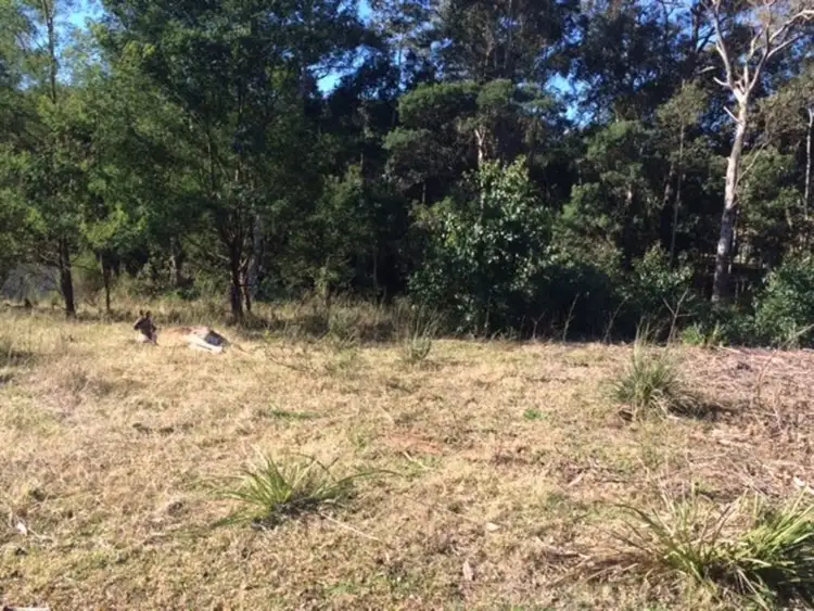 Third view of Homely land listing, 29 Courtenay Crescent, Long Beach NSW 2536