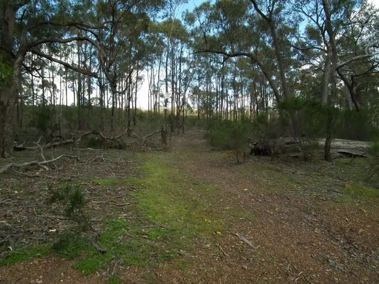 175 Pontings Lane, Bailieston VIC 3608