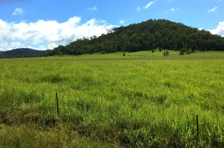 Sixth view of Homely rural property listing, 0 Owens Creek Loop Road, Gargett QLD 4741