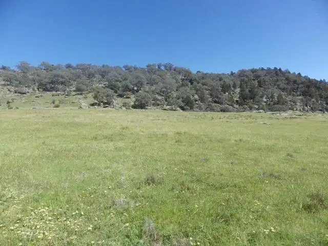 Lots 156 and 157 Tarrants Gap Road, Wyangala NSW 2808