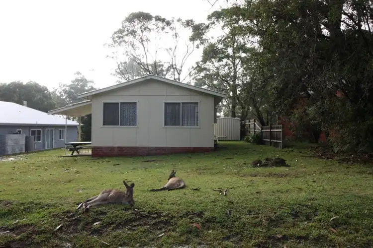 Main view of Homely house listing, 8 Pine Street, Bendalong NSW 2539