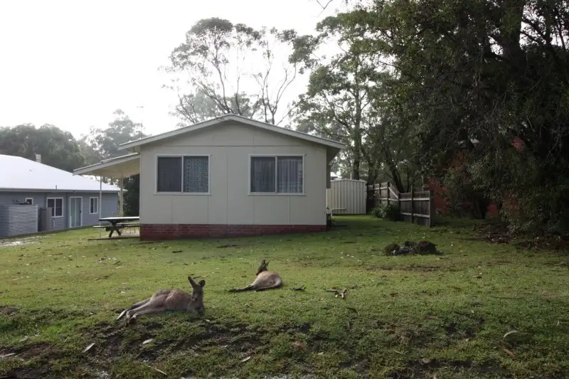 Main view of Homely house listing, 8 Pine Street, Bendalong NSW 2539