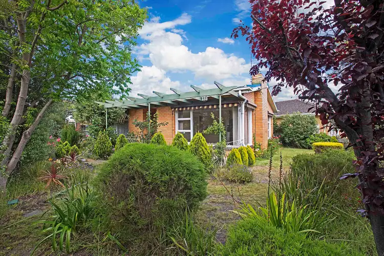 53 Davis Street, Belmont VIC 3216
