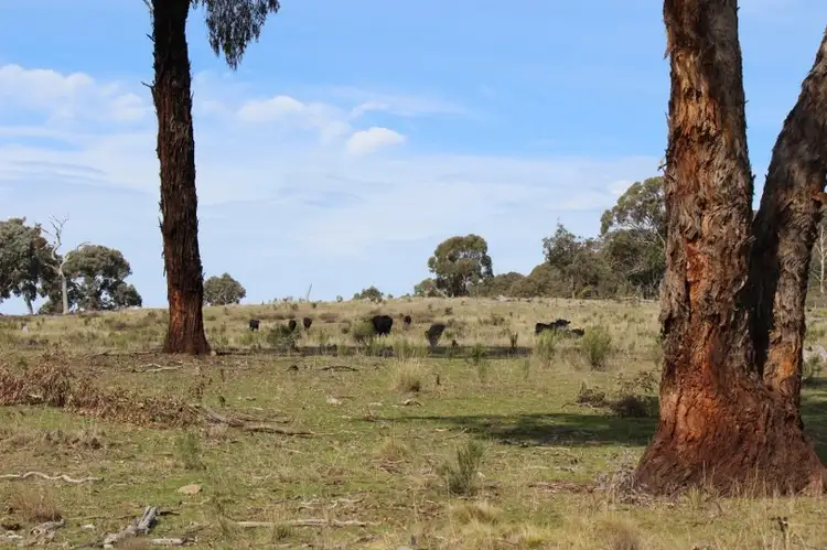 Sixth view of Homely rural property listing, 267 Slatterys Road, Bathurst NSW 2795