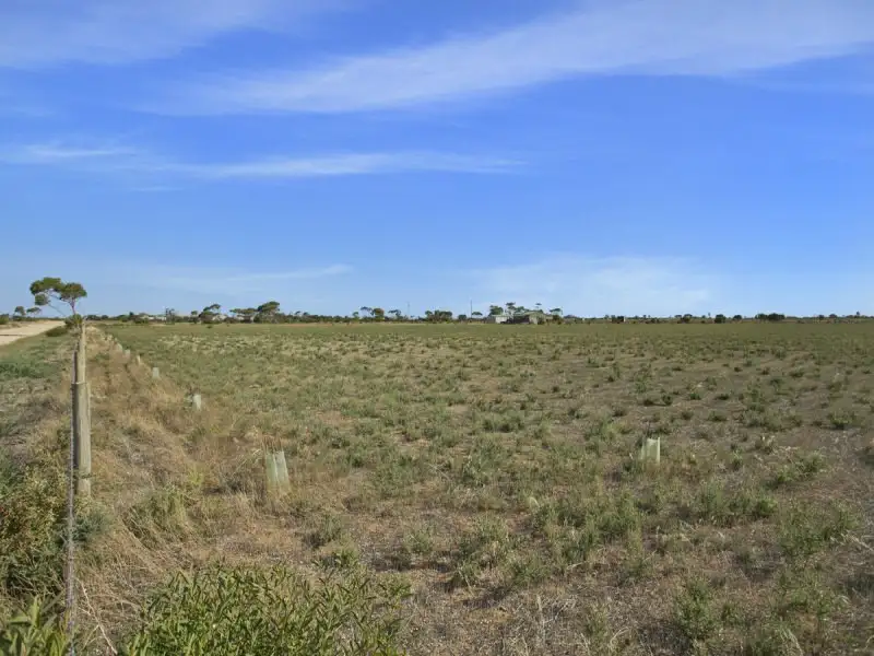 Main view of Homely land listing, 259 Schlodder Road, Dublin SA 5501