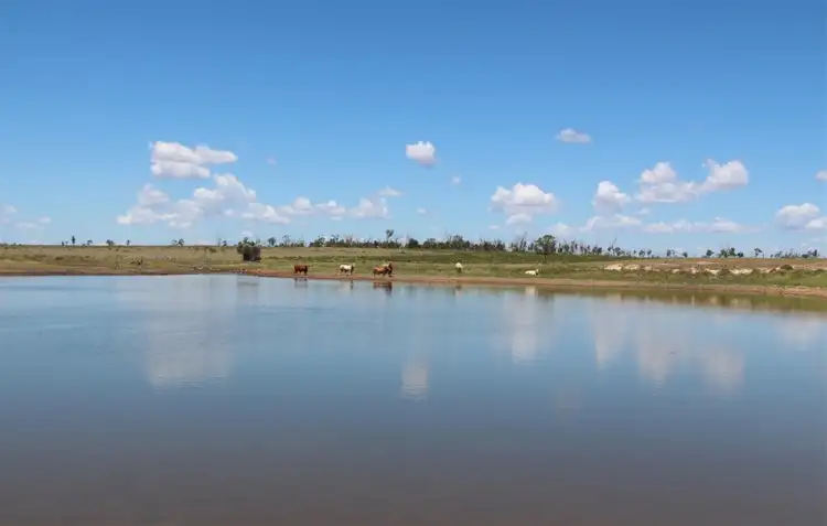 Third view of Homely rural property listing, 1140 Crinum Road, Capella QLD 4723