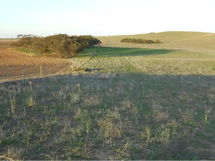 Fifth view of Homely rural property listing, 101 Mayr Road, Lameroo SA 5302