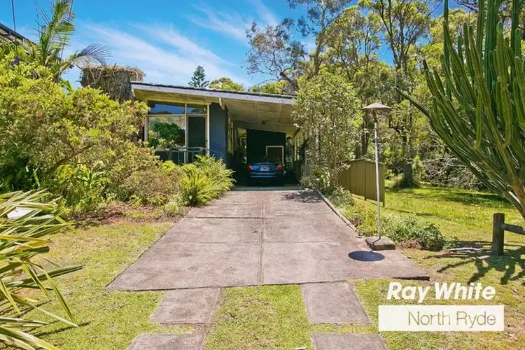 Third view of Homely house listing, 19 Fox Road, East Ryde NSW 2113
