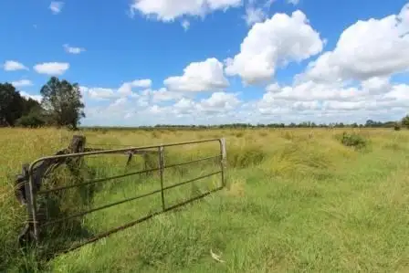 Fifth view of Homely rural property listing, 1053 Coraki Road, Ruthven NSW 2480