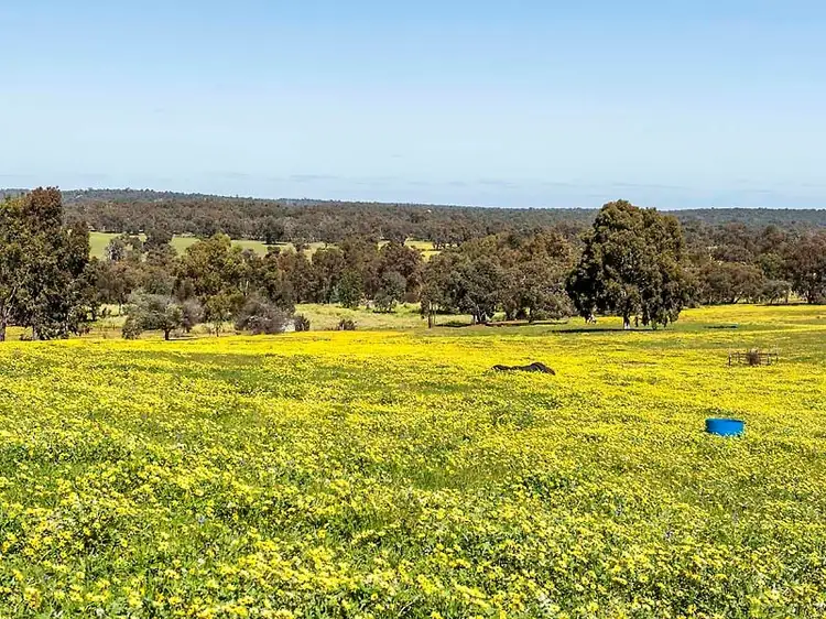 Fifth view of Homely house listing, 80 Teatree Road, Bindoon WA 6502