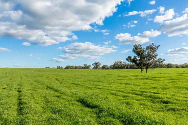 Second view of Homely rural property listing, 678 Old Narrandera Road, Narrandera NSW 2700
