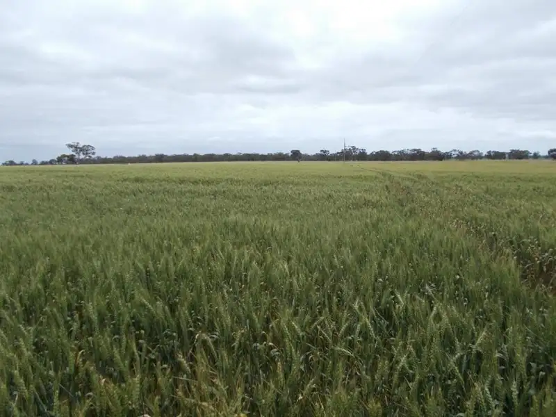 Main view of Homely rural property listing, 147 Pier Point Road, Wolseley SA 5269