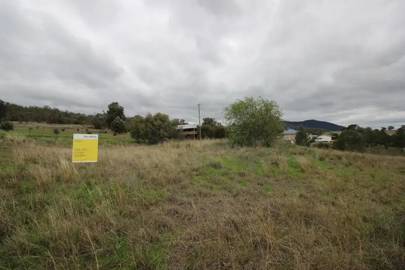Main view of Homely land listing, 10 Railway Street, Currabubula NSW 2342