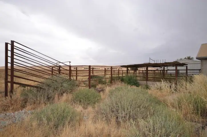 Seventh view of Homely rural property listing, Lot 459 Govt Road, Burra SA 5417