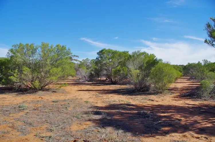 Fifth view of Homely land listing, 326 Katarapko Cres - Winkie, Berri SA 5343