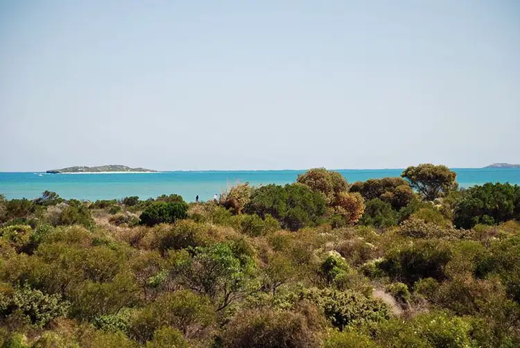 Sixth view of Homely house listing, 20 Coubrough Place, Jurien Bay WA 6516