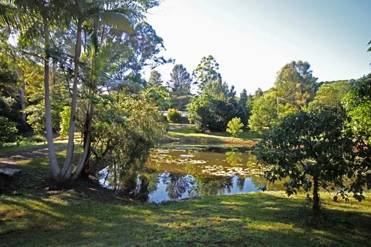 Second view of Homely house listing, 95 Martins Road, Eumundi QLD 4562