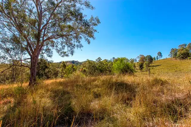 Seventh view of Homely rural property listing, 2160 Mary Valley Road, Kandanga QLD 4570