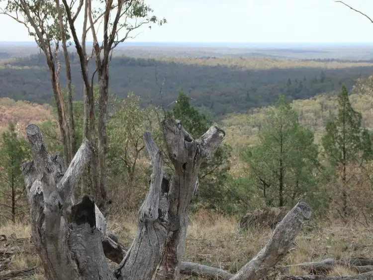 Seventh view of Homely rural property listing, Bald Hill Newell Highway, Coonabarabran NSW 2357