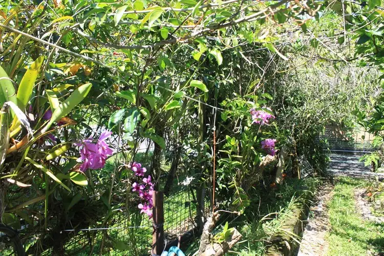 Second view of Homely house listing, 23 Cedars Street, Mossman QLD 4873