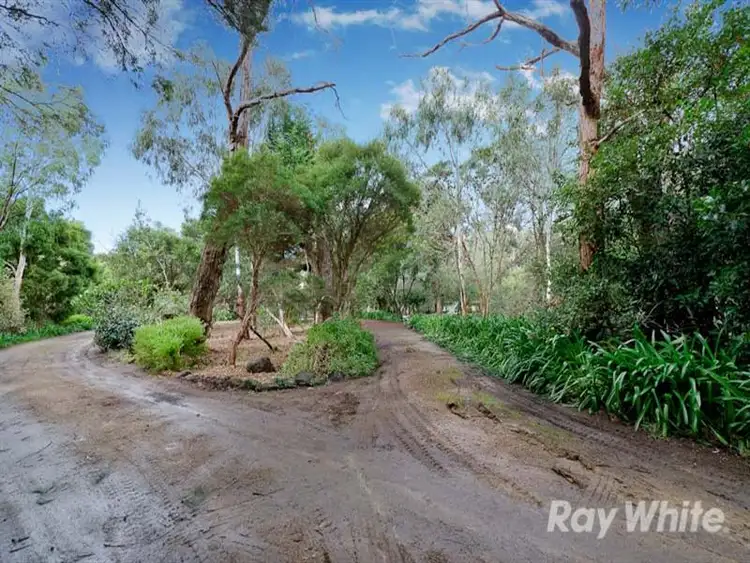 Third view of Homely rural property listing, 31 Boes Road, Tyabb VIC 3913