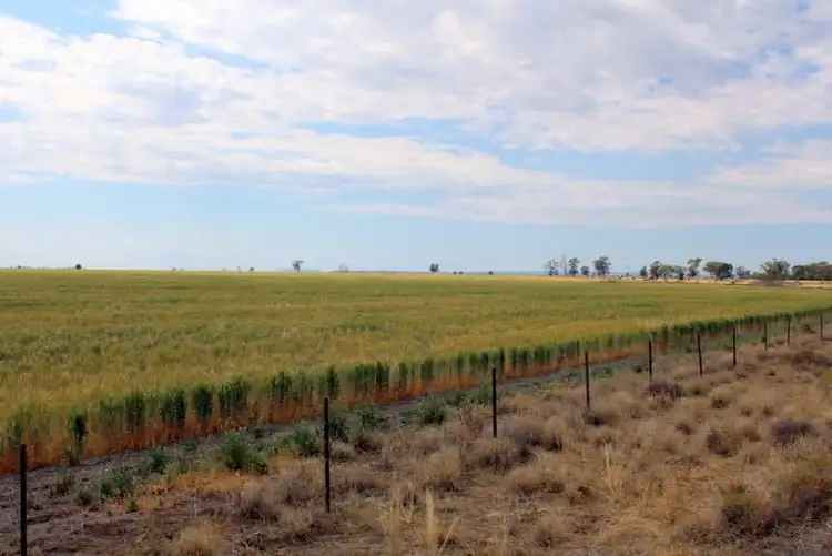 Third view of Homely rural property listing, " Part Kyona", Moree NSW 2400