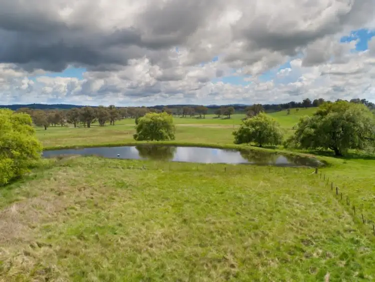 Fourth view of Homely rural property listing, Earlstoun 126 Earlstoun Road, Guyra NSW 2365