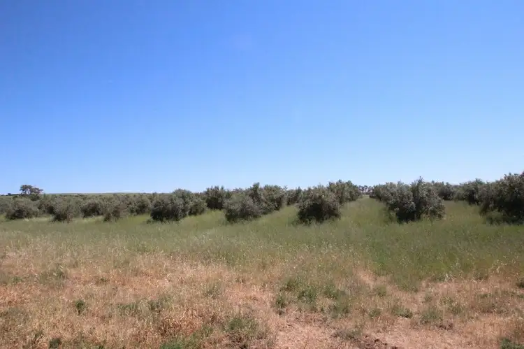 Main view of Homely house listing, Lot 57 Dennis Road, Auburn SA 5451