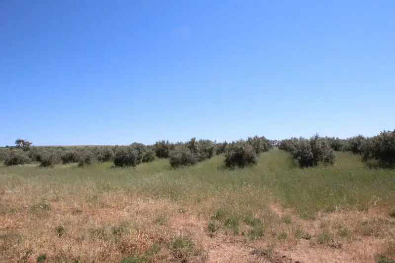 Main view of Homely house listing, Lot 57 Dennis Road, Auburn SA 5451