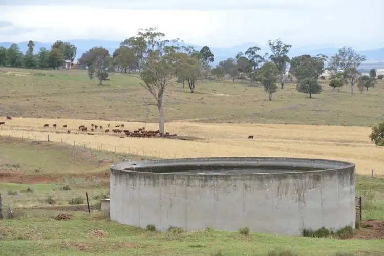 Fifth view of Homely rural property listing, " Barrington Park", Quirindi NSW 2343