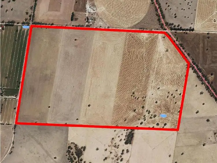 Fourth view of Homely rural property listing, Lot 91 Cnr Frances Rd and Billy Lane, Bordertown SA 5268
