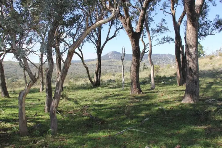 Third view of Homely rural property listing, Lot 2 Kildare Road, Tenterfield NSW 2372