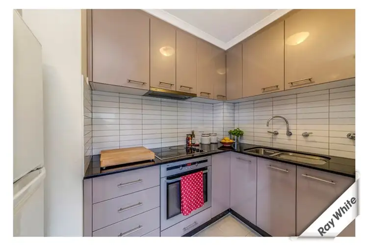 Fifth view of Homely house listing, 14/25 Mcginness Street, Scullin ACT 2614