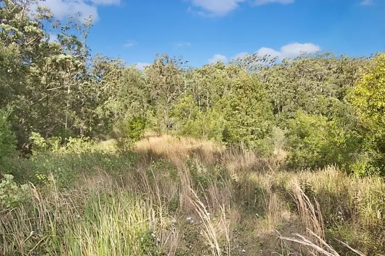 Fifth view of Homely rural property listing, 1449 Tyalgum Road, Tyalgum NSW 2484