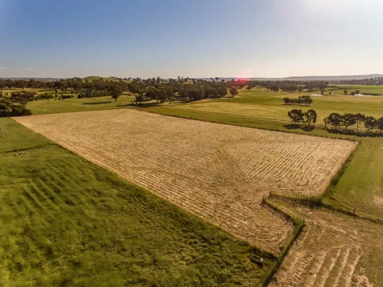 Main view of Homely rural property listing, 261 Camp Road, Cowra NSW 2794