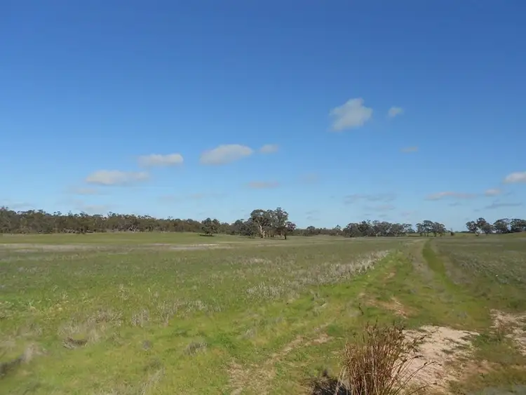Seventh view of Homely rural property listing, 500 Bangham Road, Bangham SA 5268