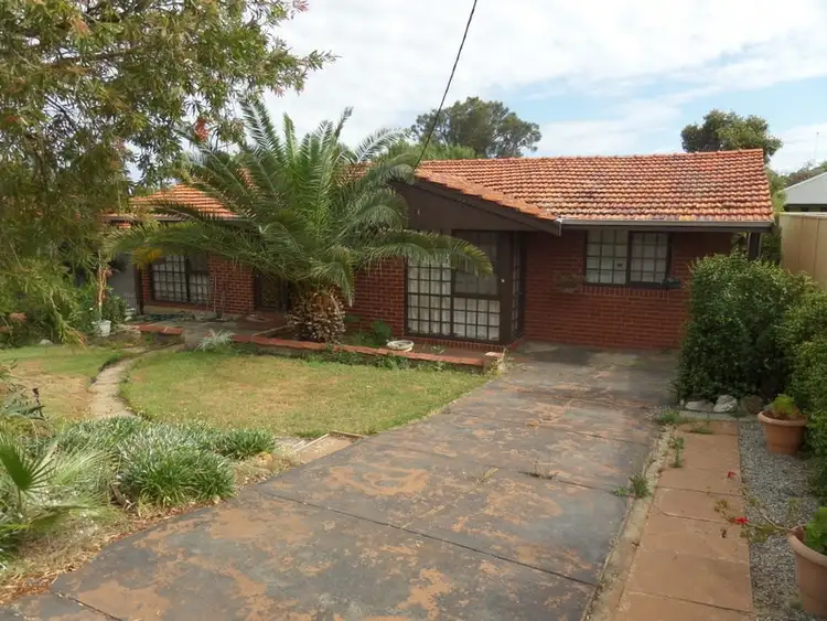 49 Knowles Street, Balcatta WA 6021