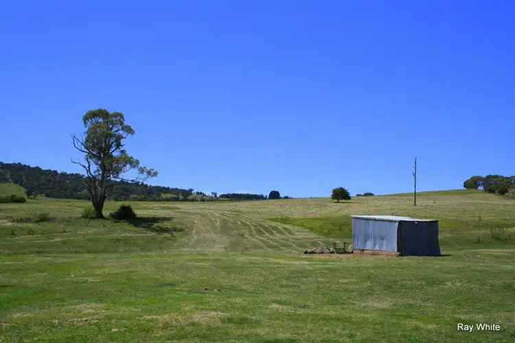 Seventh view of Homely rural property listing, 3 Nerriga Road, Braidwood NSW 2622