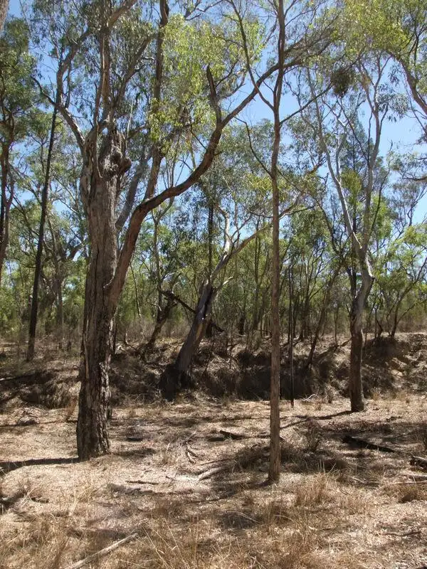 Sixth view of Homely rural property listing, Bald Hill Newell Highway, Coonabarabran NSW 2357