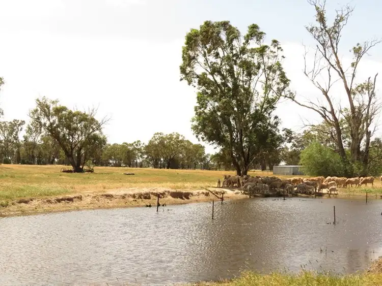 Seventh view of Homely rural property listing, Lot 2 DP826752 Grogan Road, Stockinbingal NSW 2725