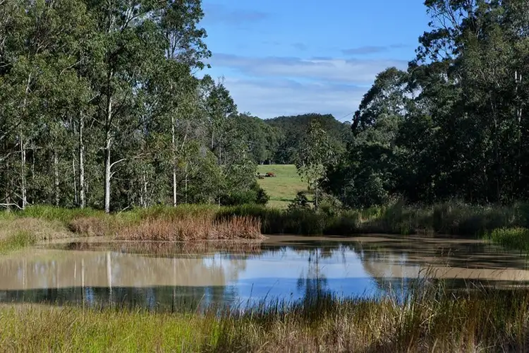 Fifth view of Homely rural property listing, 90 Bull Hill Road, Tinonee NSW 2430