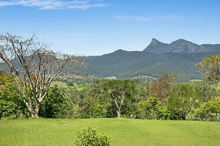 Third view of Homely rural property listing, 118 Hoggs Road, Tyalgum NSW 2484