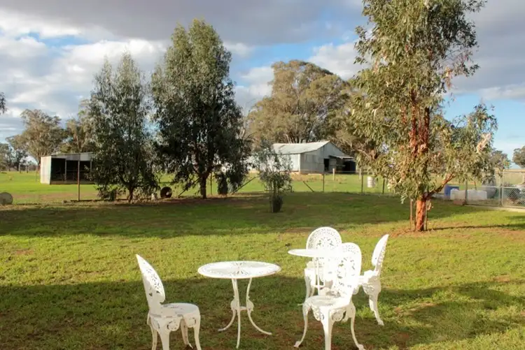 Main view of Homely rural property listing, 6410 Burley Griffin Way, Temora NSW 2666